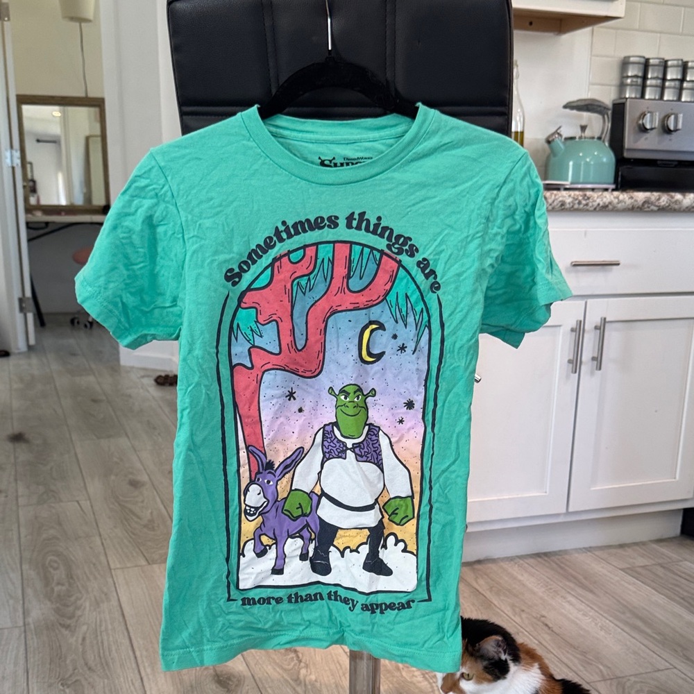Dreamworks Shrek Teal T-Shirt